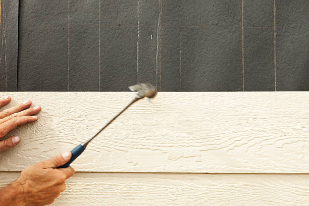 Best Historical Building Siding Restoration  in Colonial Beach, VA